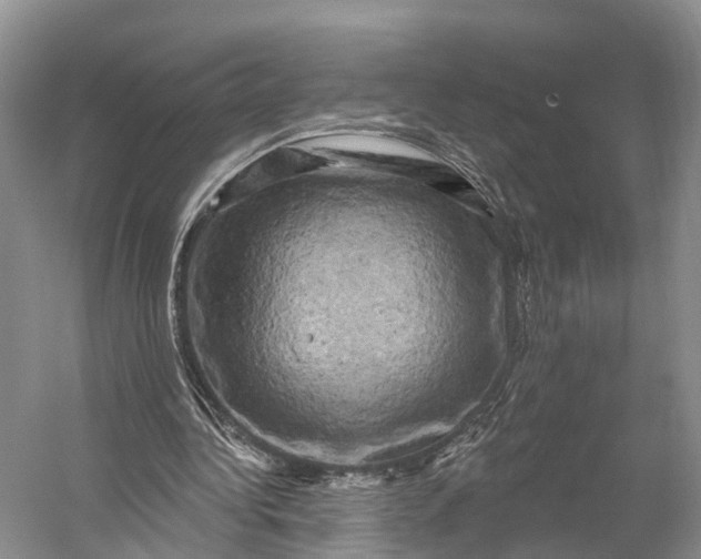 X0000056330340200509161715