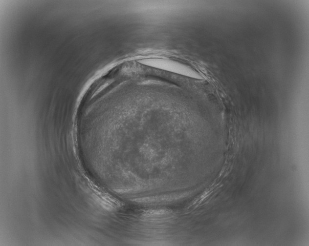 X0000056330342200509161715