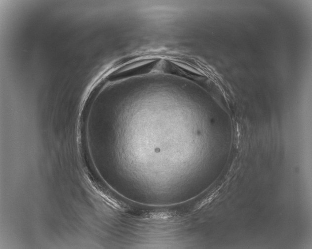 X0000056330344200509161715