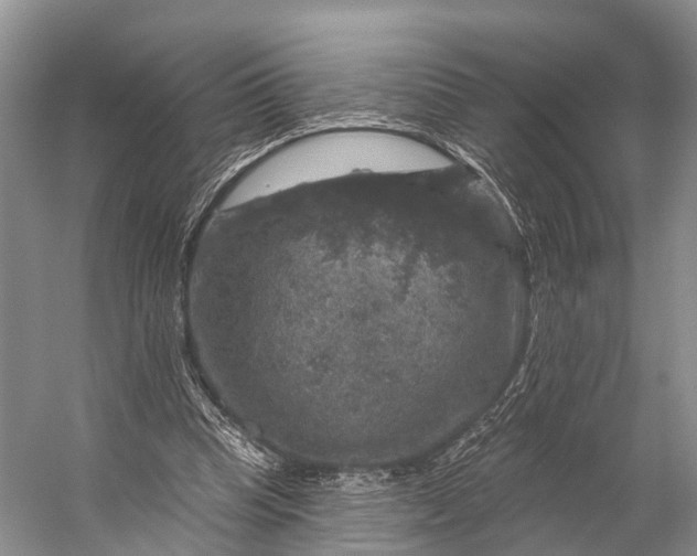 X0000056330345200509161715