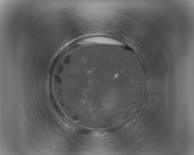 X0000056330346200509161715