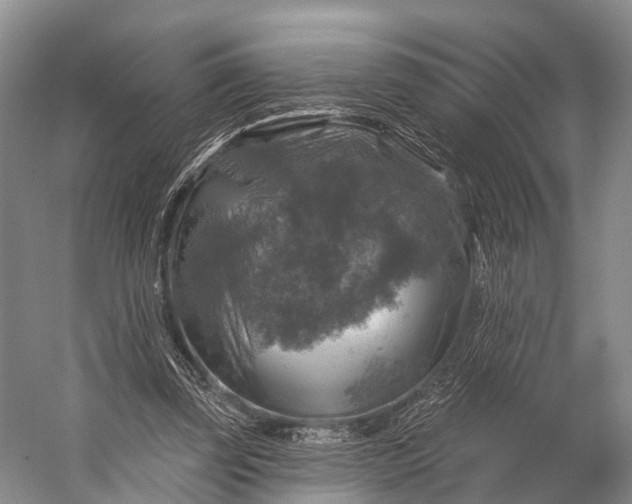 X0000056330347200509161715