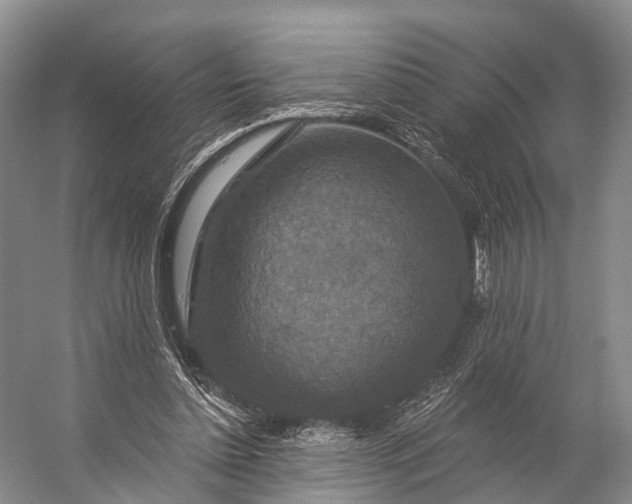 X0000056330348200509161715