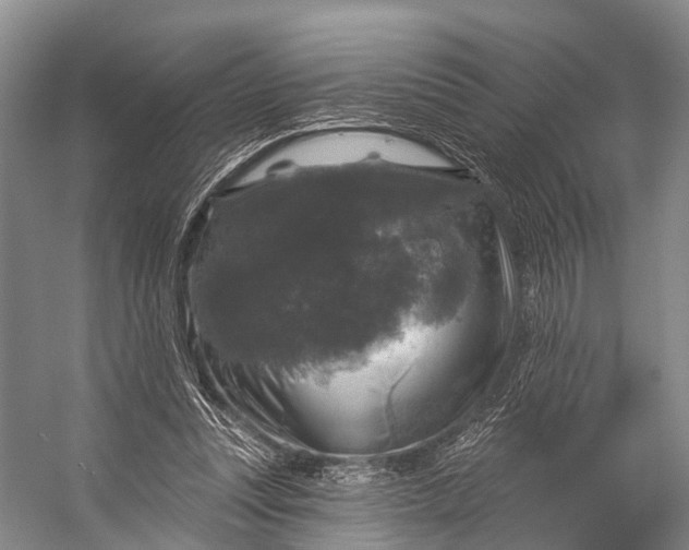 X0000056330351200509161715