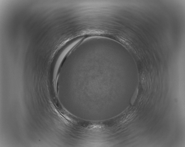 X0000056330352200509161715