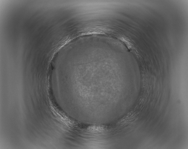 X0000056330354200509161715