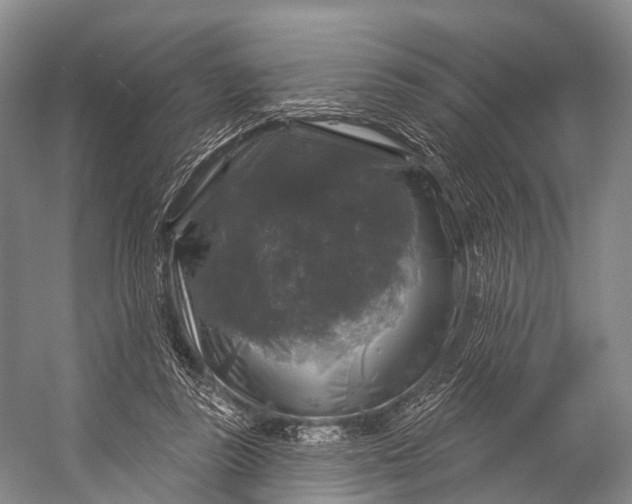 X0000056330355200509161715