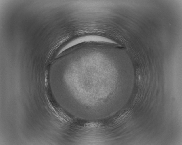 X0000056330356200509161715