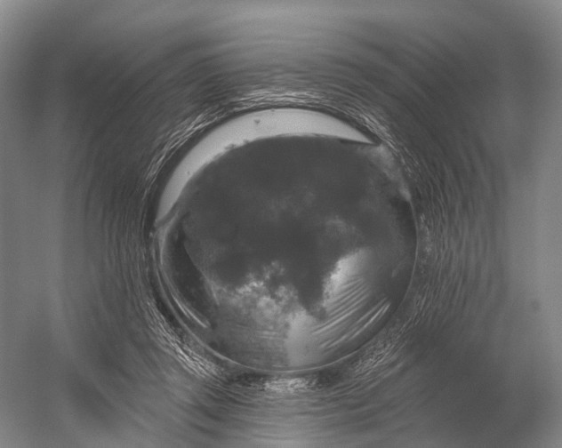 X0000056330357200509161715