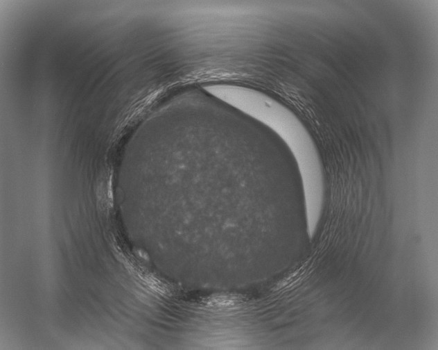 X0000056330358200509161715