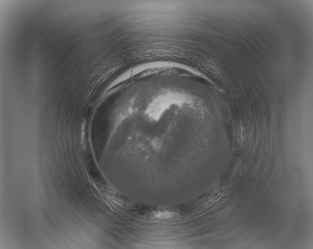 X0000056330360200509161715