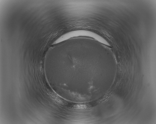 X0000056330361200509161715