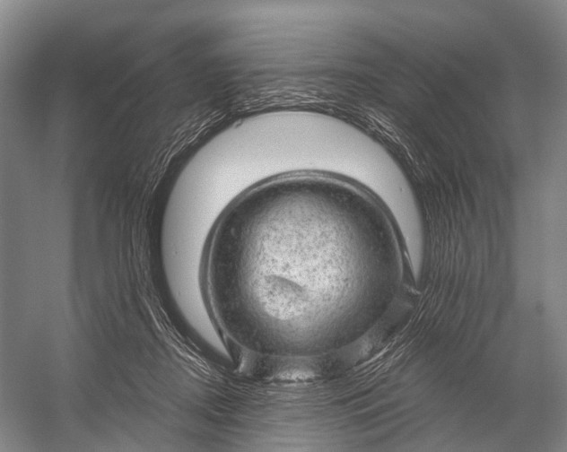 X0000056330362200509161715