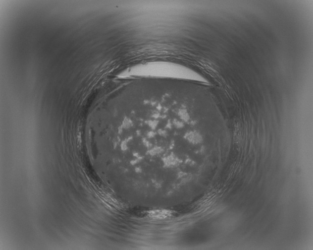 X0000056330363200509161715