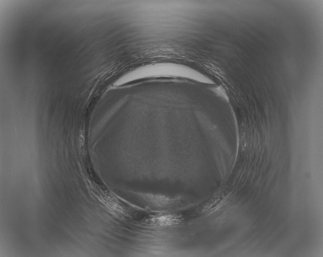 X0000056330365200509161715