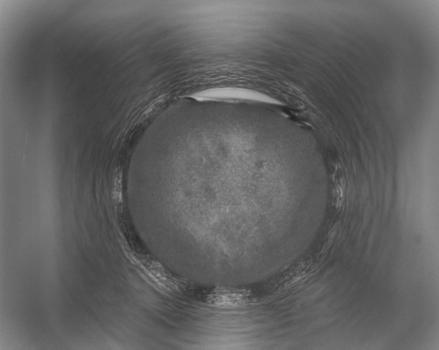 X0000056330368200509161715