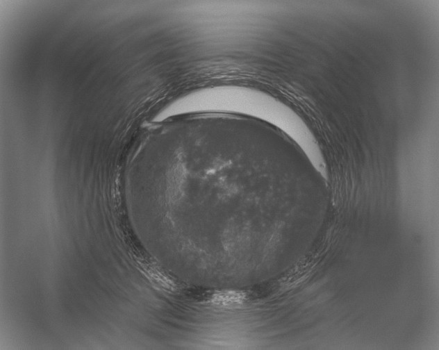 X0000056330369200509161716