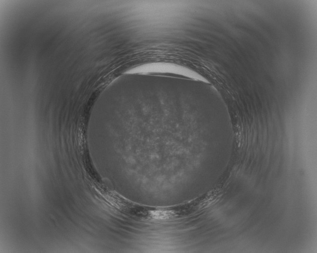 X0000056330371200509161716