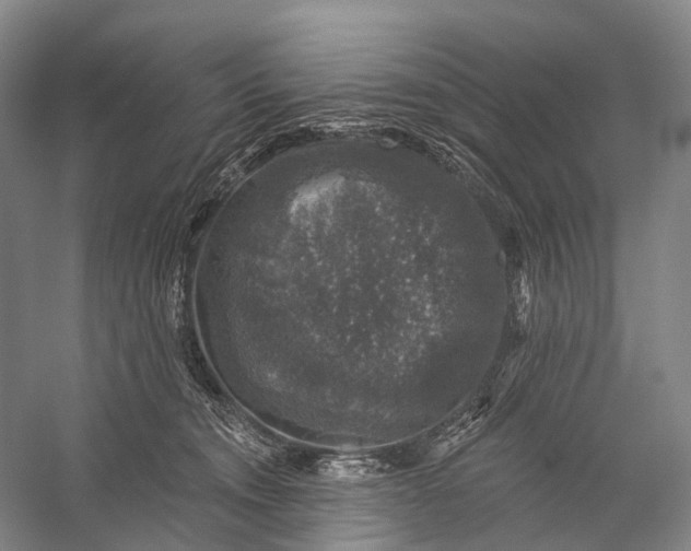 X0000056330372200509161716