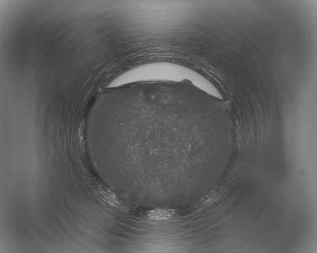 X0000056330373200509161716