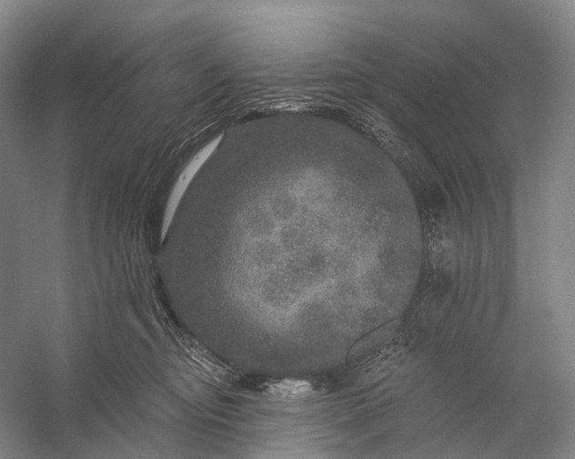 X0000056330374200509161716