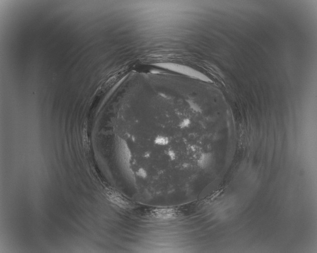 X0000056330377200509161716