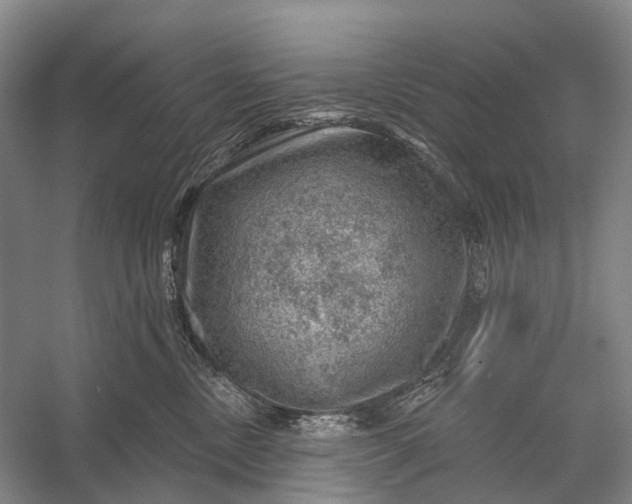 X0000056330378200509161716