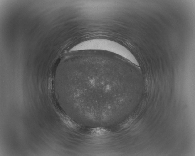 X0000056330379200509161716