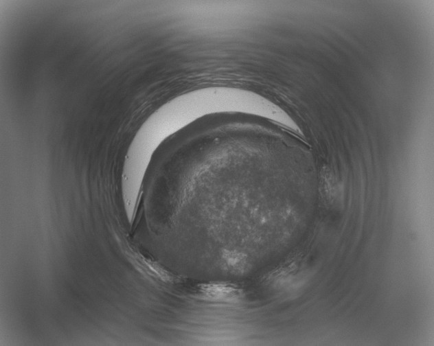 X0000056330380200509161716