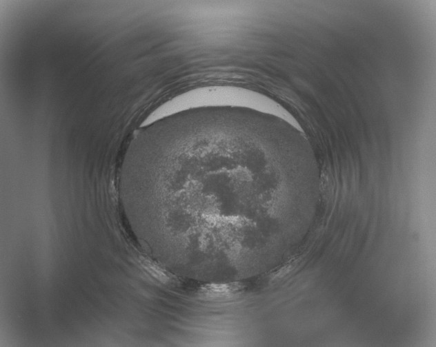 X0000056330381200509161716