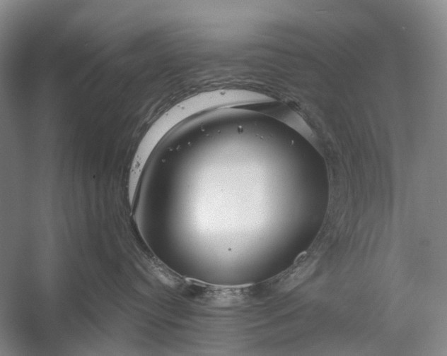 X0000056330384200509161716