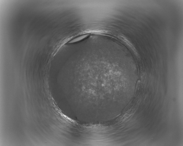 X0000056330385200509161715