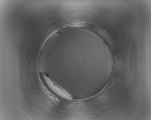 X0000056330386200509161715