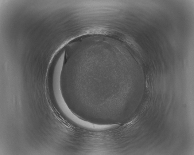 X0000056330388200509161715