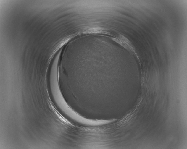 X0000056330389200509161715