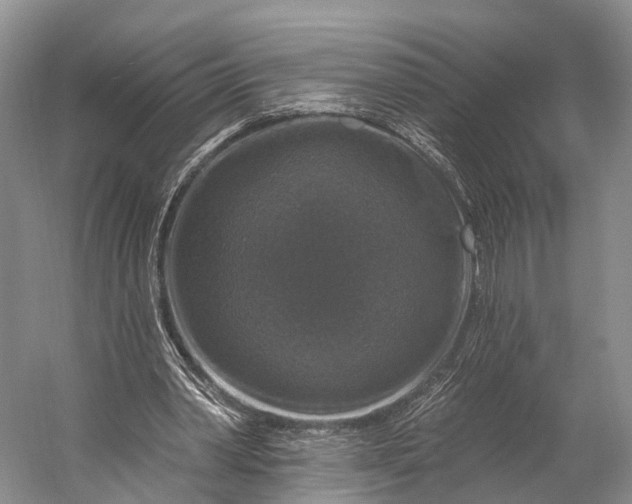 X0000056330390200509161715