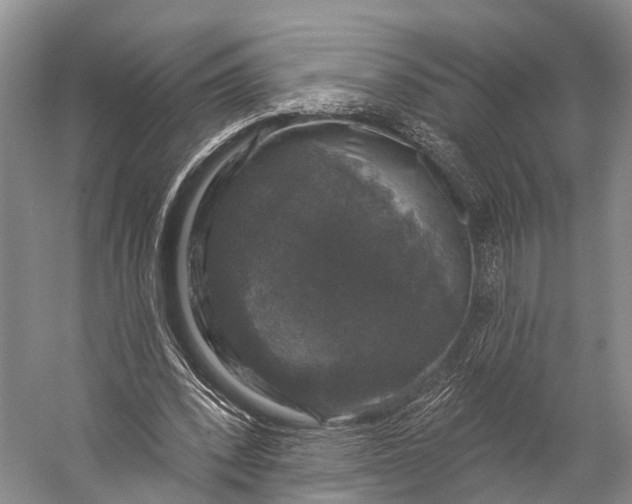 X0000056330392200509161715