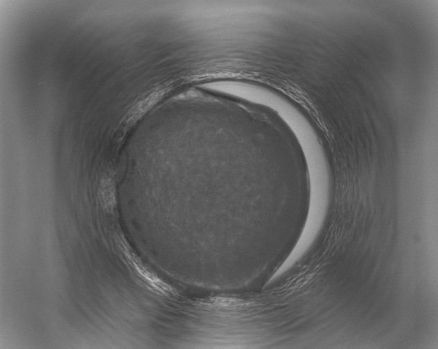 X0000056330393200509161715