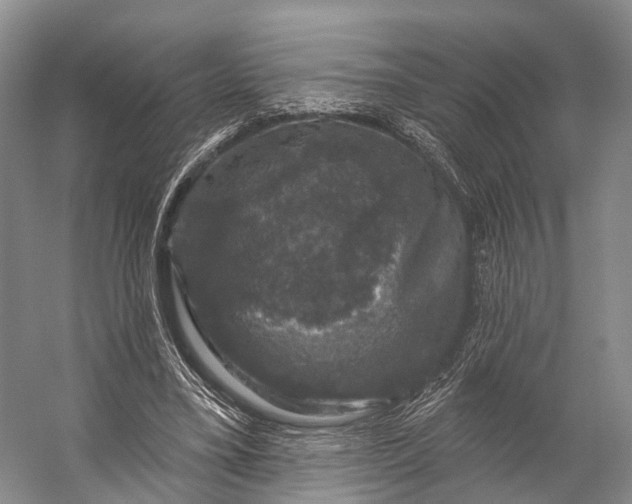 X0000056330395200509161715