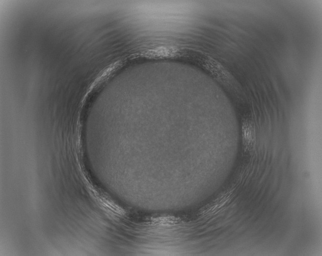 X0000056330396200509161715