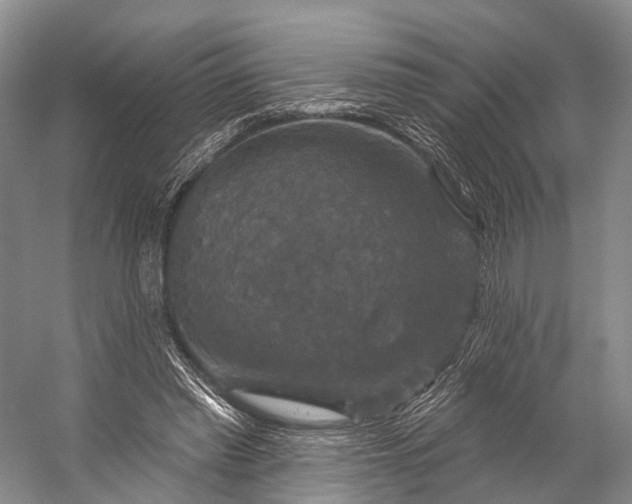 X0000056330397200509161715