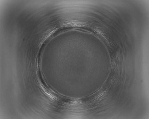 X0000056330398200509161715