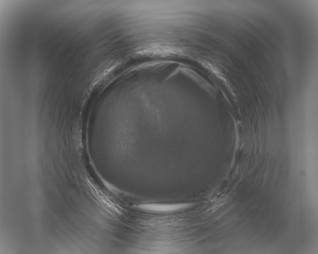 X0000056330399200509161715