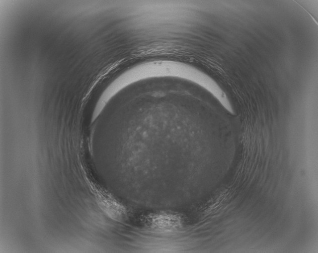 X0000056330400200509161715