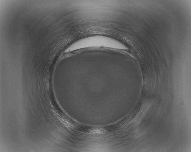 X0000056330402200509161715