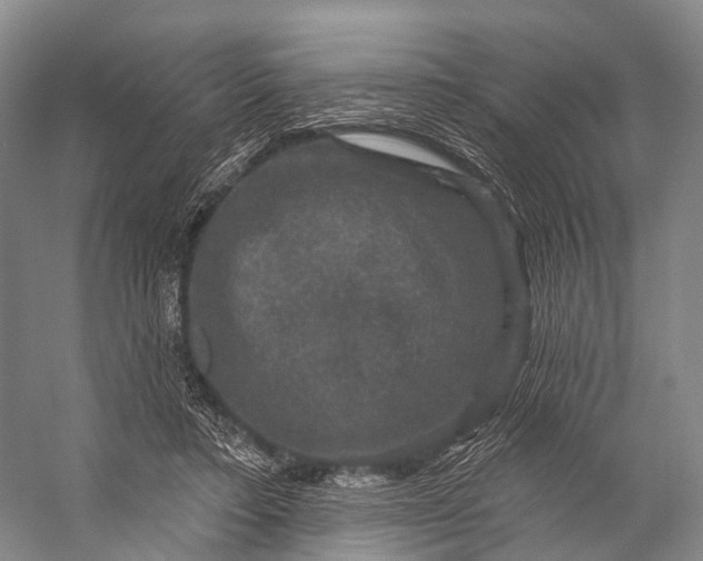 X0000056330403200509161715