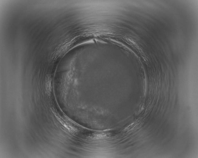 X0000056330405200509161715