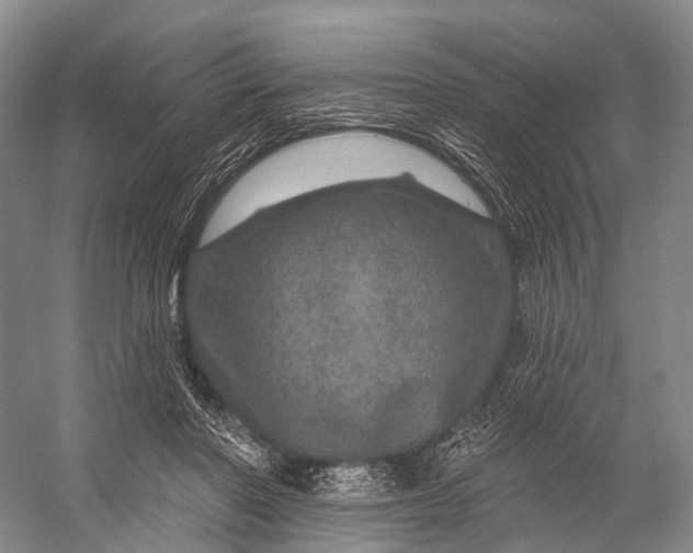 X0000056330406200509161715