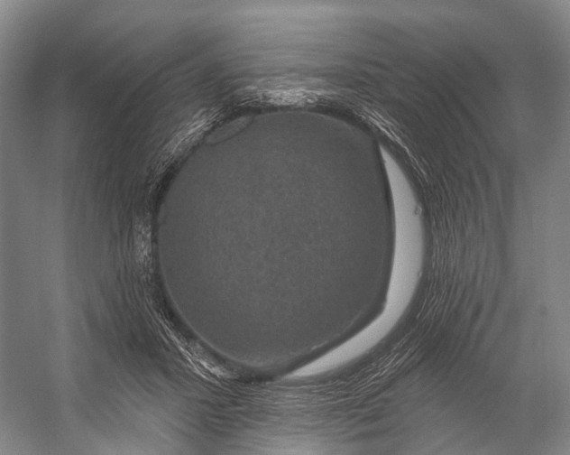 X0000056330407200509161715