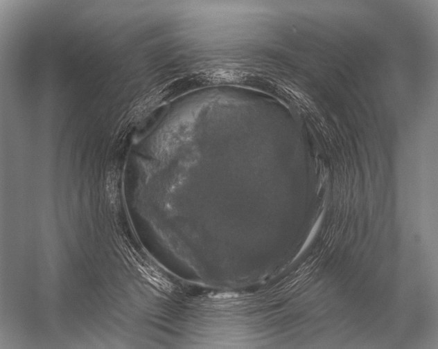 X0000056330409200509161715